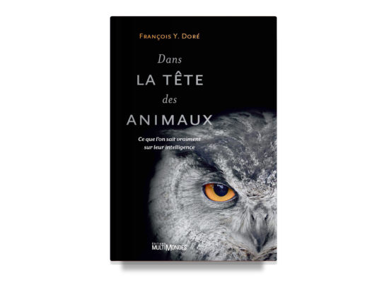 Dans la tête des animaux / In the Head of Animals – Doré