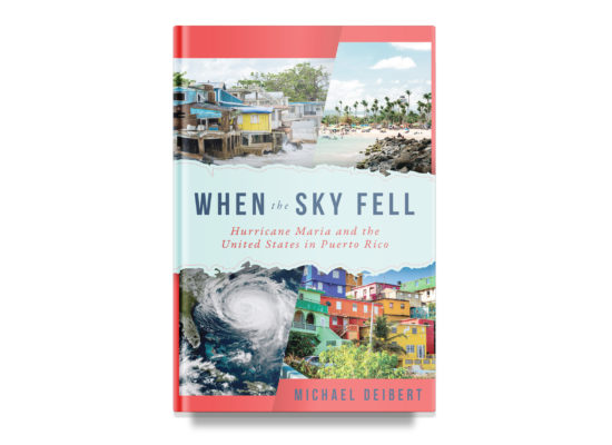 WHEN THE SKY FELL / Michael Deibert