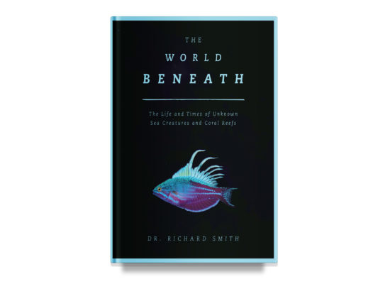 The World Beneath / Richard Smith