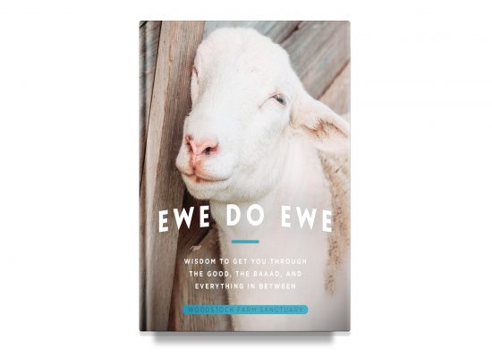 Ewe to Ewe / Wisdom to Get You Through the Good, the Baaad, and Everything in Between