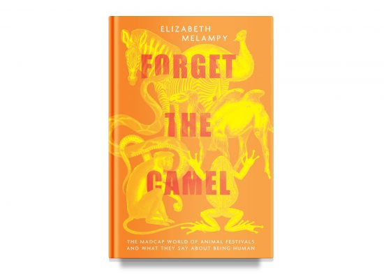 FORGET THE CAMEL – Elizabeth MeLampy