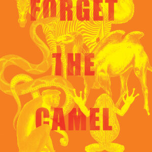 Forget the Camel