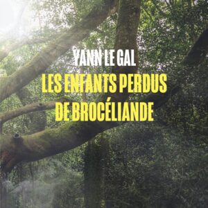 Les enfants perdus de Brocéliande