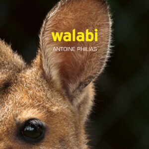Walabi