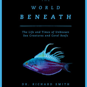 World Beneath